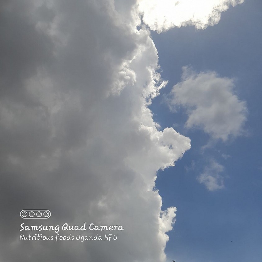 A dramatic contrast fills the sky dense, dark grey clouds looming on one side while soft white clouds drift beside a clear stretch of blue on the other. The line between weight and light is sharp, as if the sky itself is caught between a passing storm and the promise of clear skies ahead.